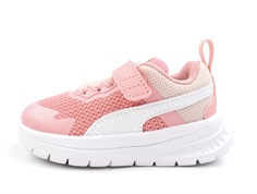 Puma peach smoothie/puma white sneaker Evolve Run